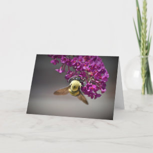 Bee, card