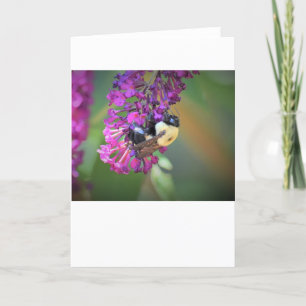 Bee, card