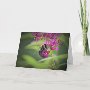 Bee, card