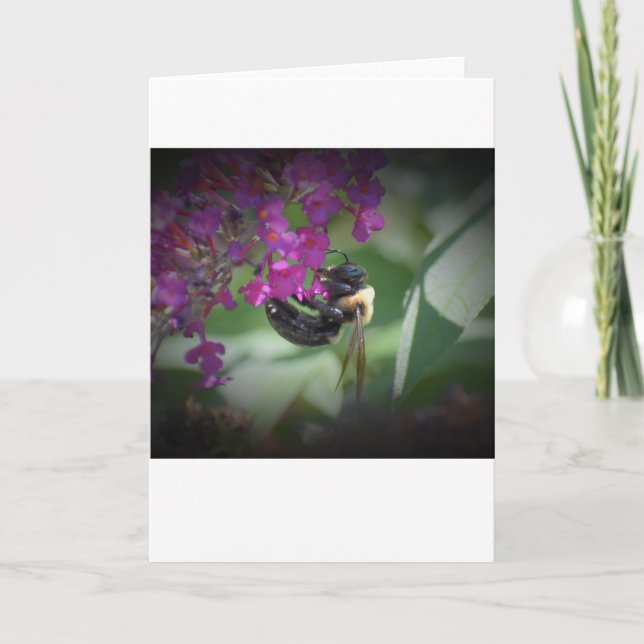 Bee, card (Front)