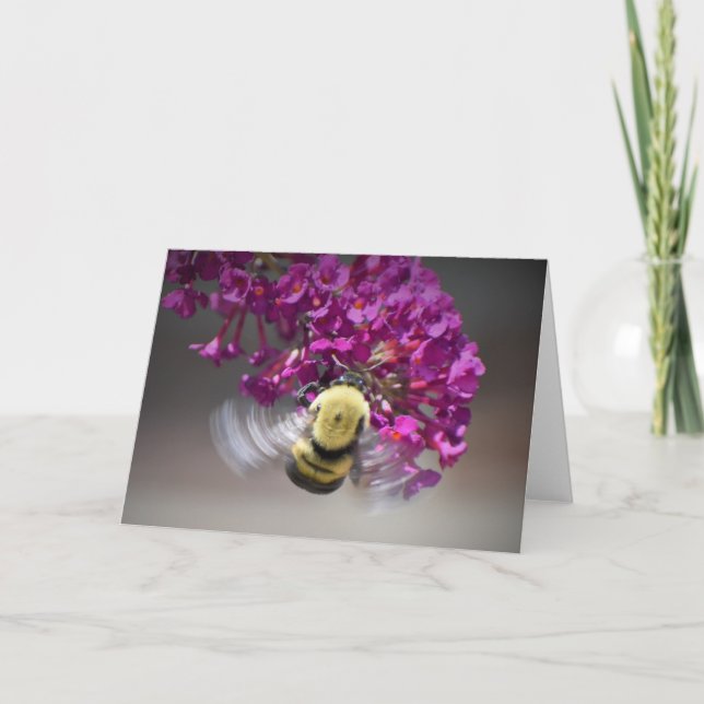 Bee, card (Front)