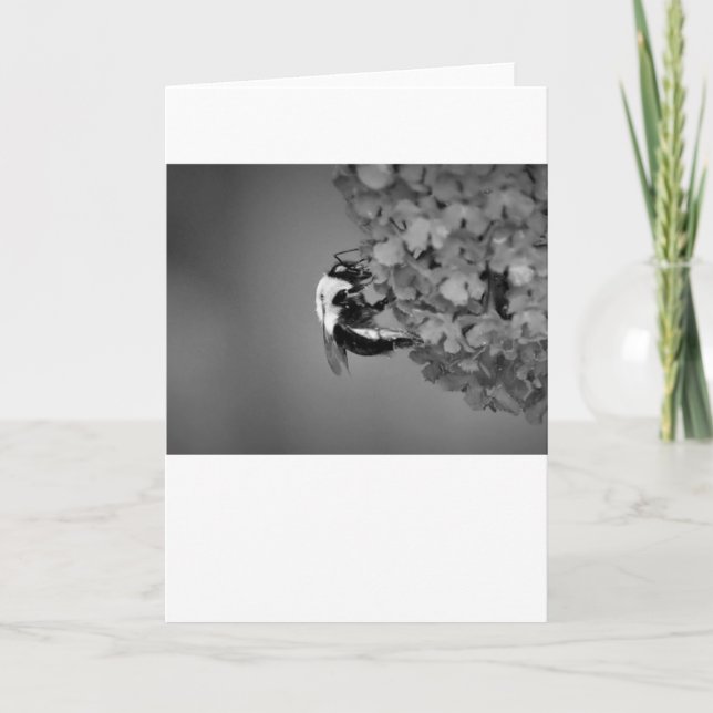 Bee, card (Front)