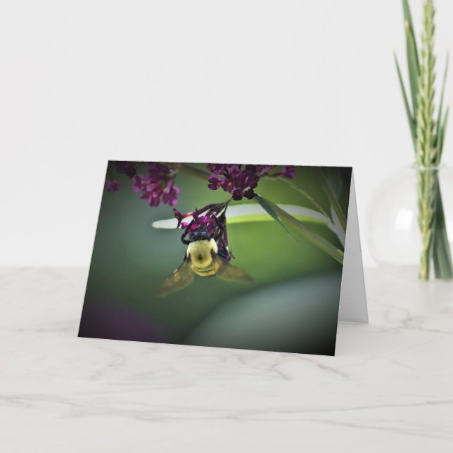 Bee, card (Front)