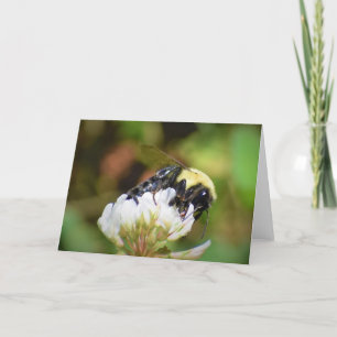 Bee, card