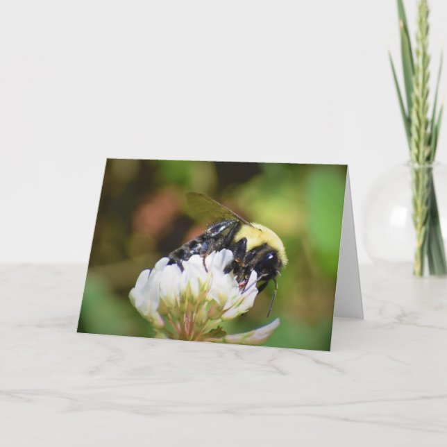 Bee, card (Front)