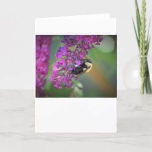 Bee, card