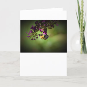 Bee, card