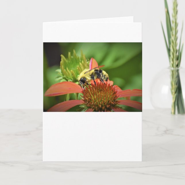 Bee, card (Front)
