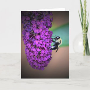Bee, card