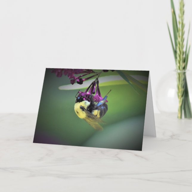 Bee, card (Front)