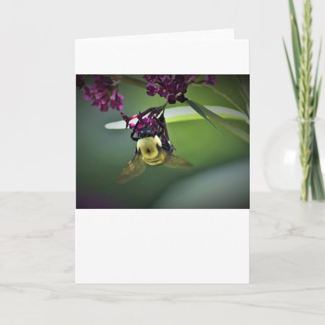 Bee, card (Front)