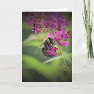 Bee, card