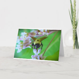 Bee, card