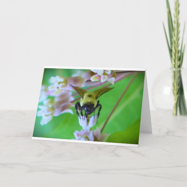 Bee, card (Front)