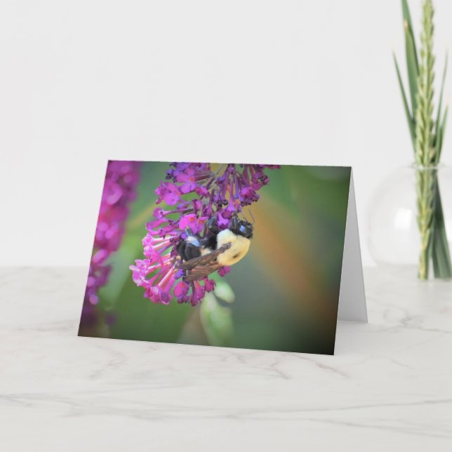Bee, card (Front)