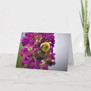 Bee, card