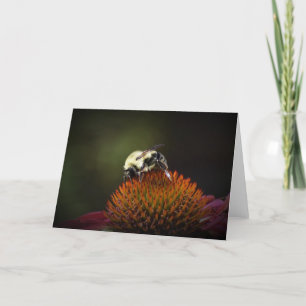 Bee, card