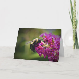 Bee, card