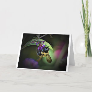 Bee, card