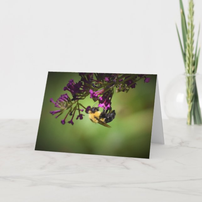 Bee, card (Front)