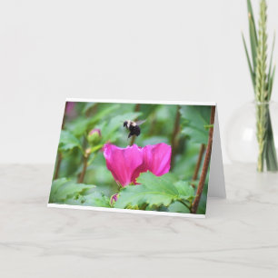 Bee, card