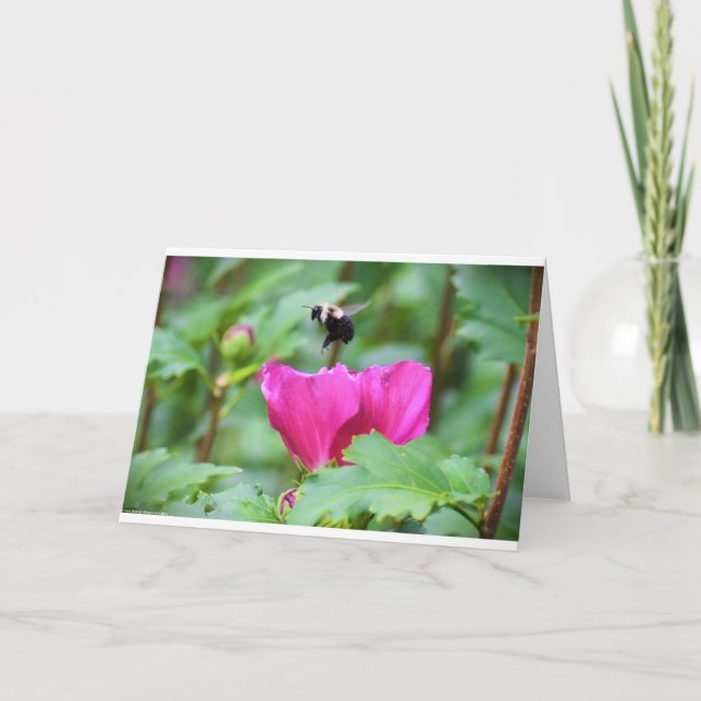 Bee, card (Front)