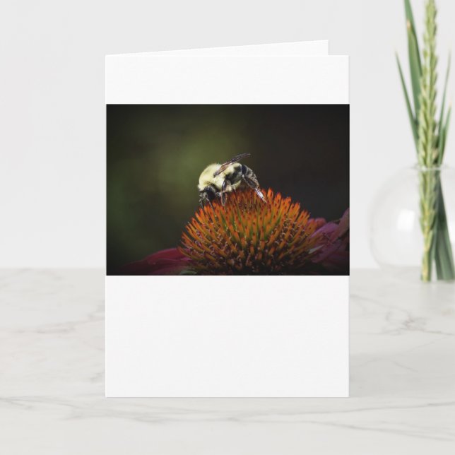 Bee, card (Front)