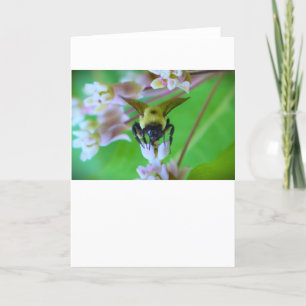 Bee, card