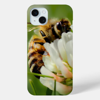 Bee case