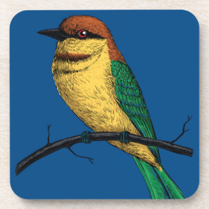 Bee eater coaster