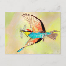 Bee-eater, colorful bird at flight illustration