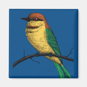 Bee eater magnet
