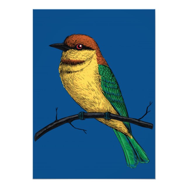 Bee eater photo print (Front)