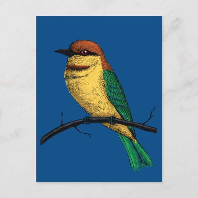 Bee eater postcard (Front)