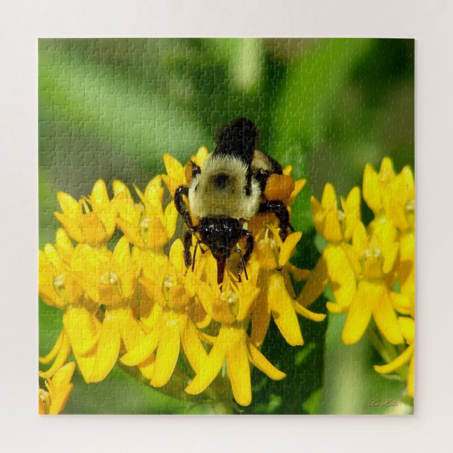 Bee Feasting on Butterfly Weed Wildflowers Jigsaw Puzzle (Vertical)