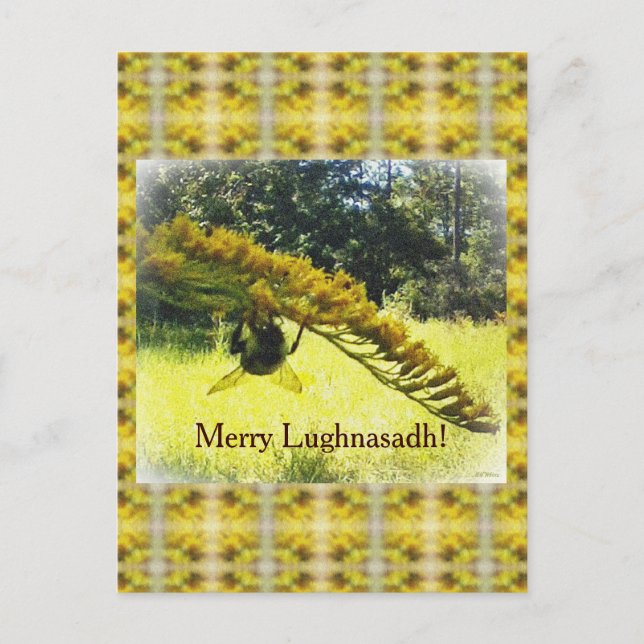 Bee & Goldenrod Lughnasadh Lammas Harvest Holiday Postcard (Front)