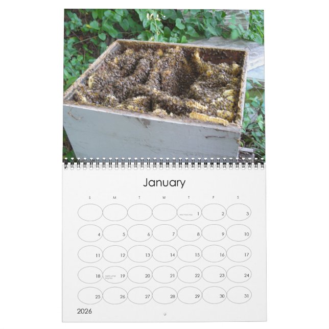 Bee Happy Calendar (Jan 2026)