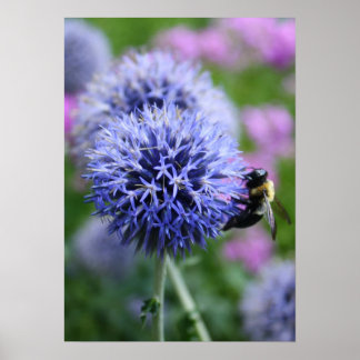 Bee-have poster