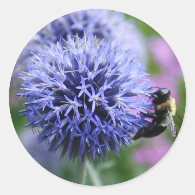 Bee-have stickers (Front)