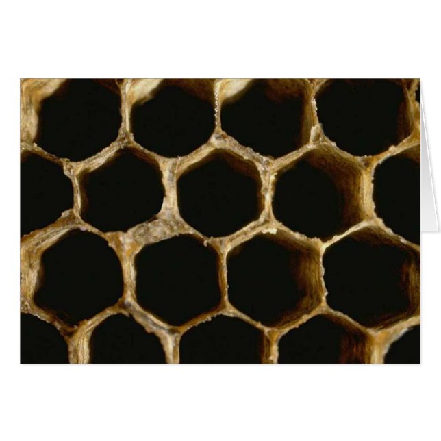 Bee Hive (Front Horizontal)