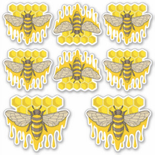 Bee Hive Honey