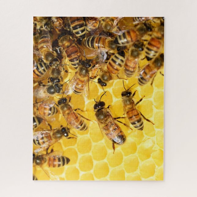 Bee Hive Honey Bees Photo Puzzle (Vertical)