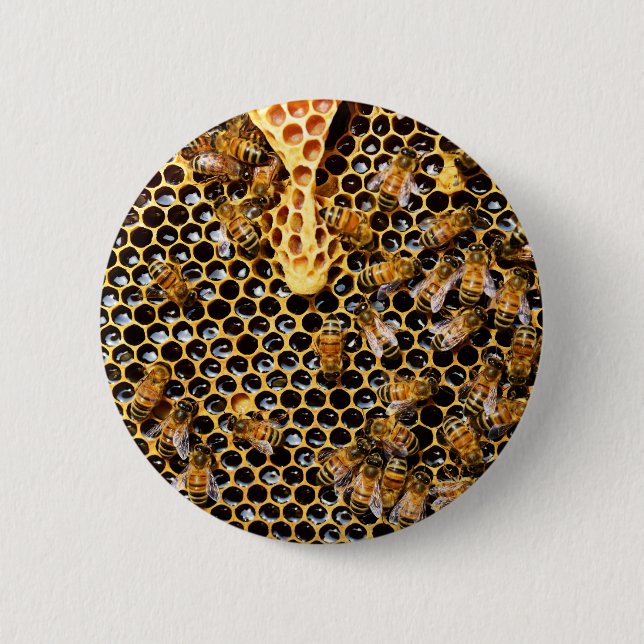 Bee Hive with Honeycomb Up Close 6 Cm Round Badge (Front)