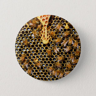 Bee Hive with Honeycomb Up Close 6 Cm Round Badge