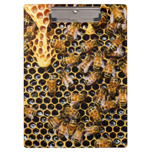 Bee Hive with Honeycomb Up Close Clipboard