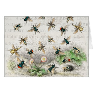 Bee Honey Worker Queen Bees Antique 