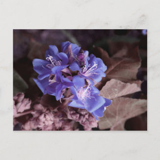 bee in blue flowers colourized purple postcard