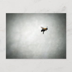 bee in flight postcard