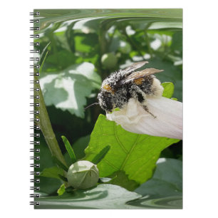 Bee in summer notebook