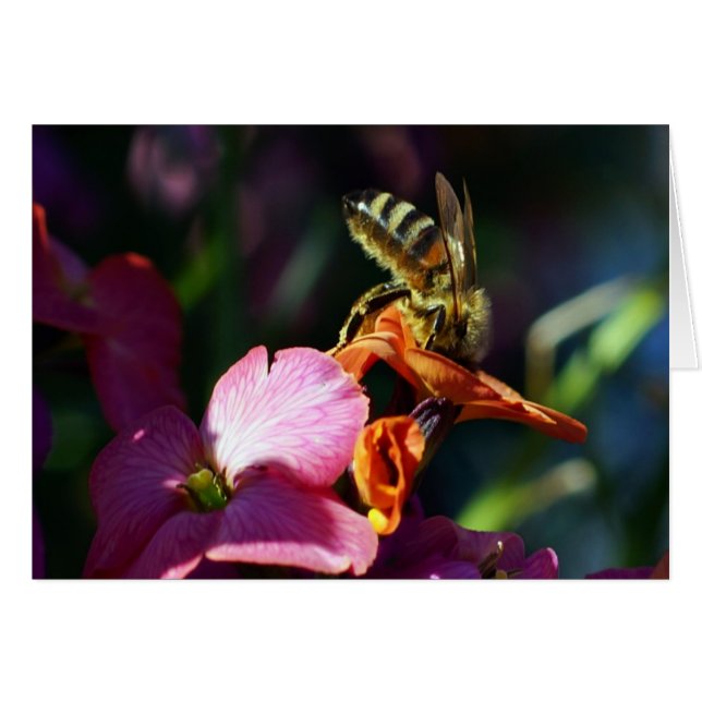 Bee-ing Busy! (Front Horizontal)